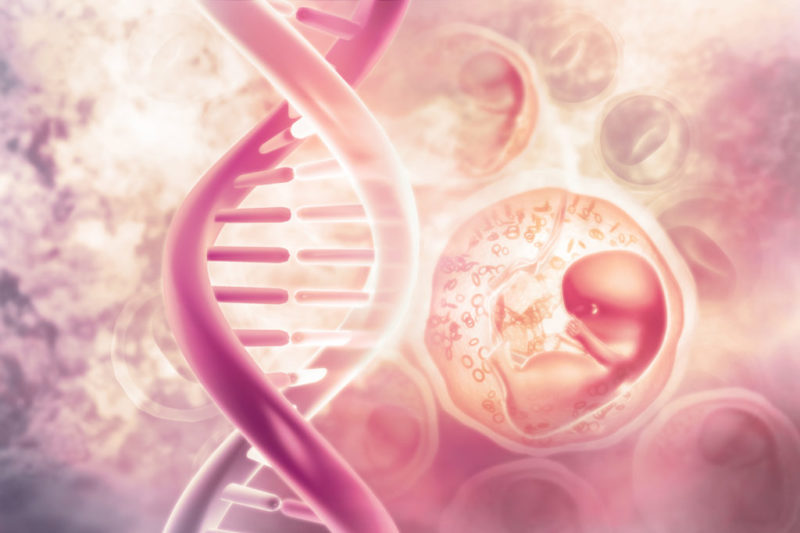 Nace el primer bebé libre de Citrulinemia en España