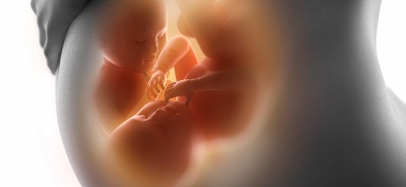 Nacen en España las primeras niñas libres del gen del cáncer de mama