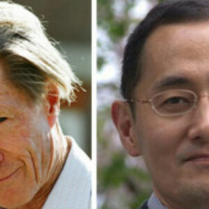 Nobel de Medicina a la investigación de células madre