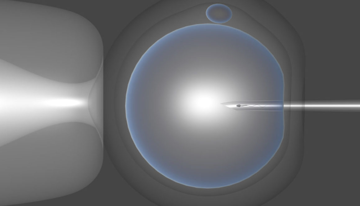 Nociones sobre la Esterilidad