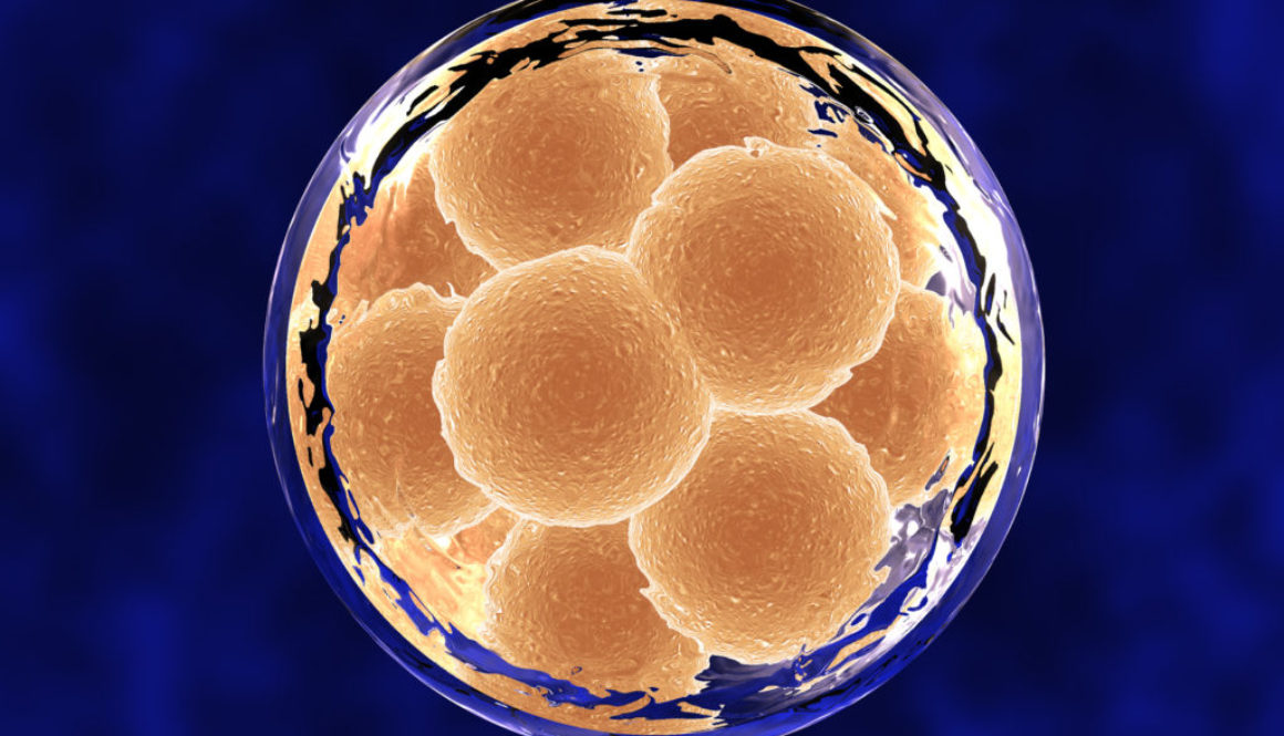 Nueva incubadora para el cultivo en bajas concentraciones de oxígeno