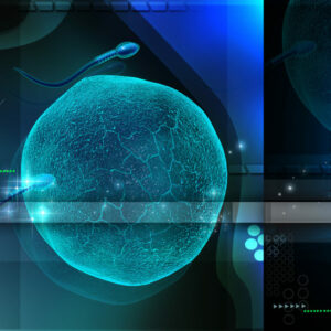 Nuevo descubrimiento de células madre