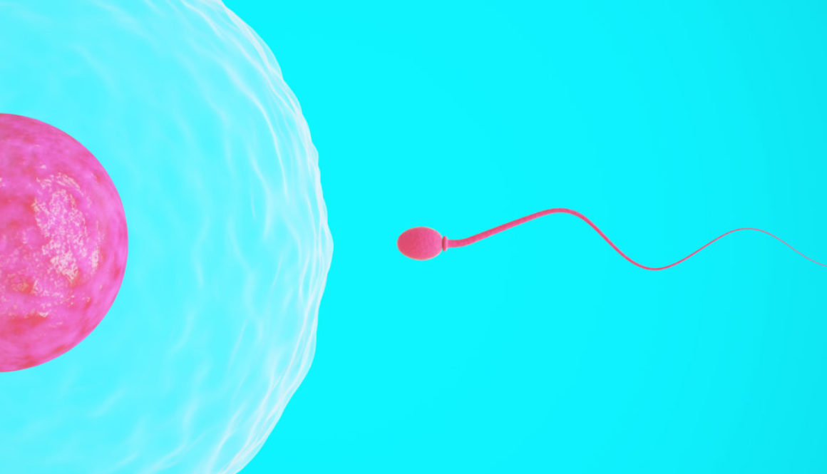 Nuevo estudio en el Instituto Bernabeu sobre la comunicación del espermatozoide y el óvulo