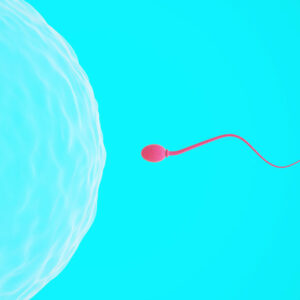 Nuevo estudio en el Instituto Bernabeu sobre la comunicación del espermatozoide y el óvulo