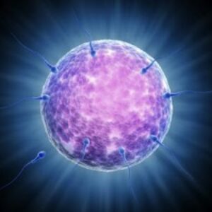 Nuevos avances en la Reproducción asistida