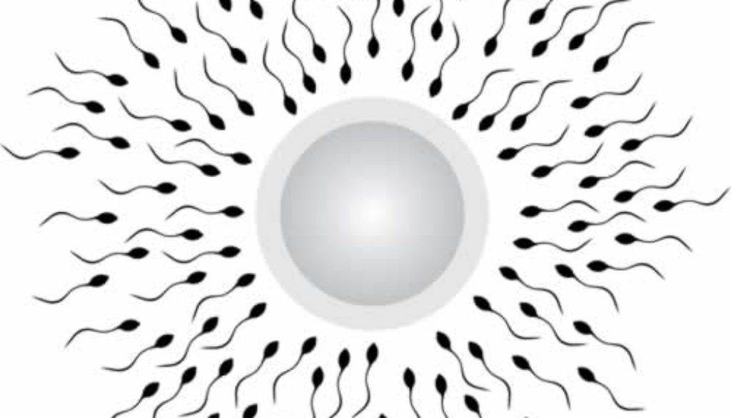 Oligospermia Oligospermia