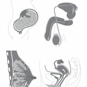 Otra forma de gestar hijos es posible