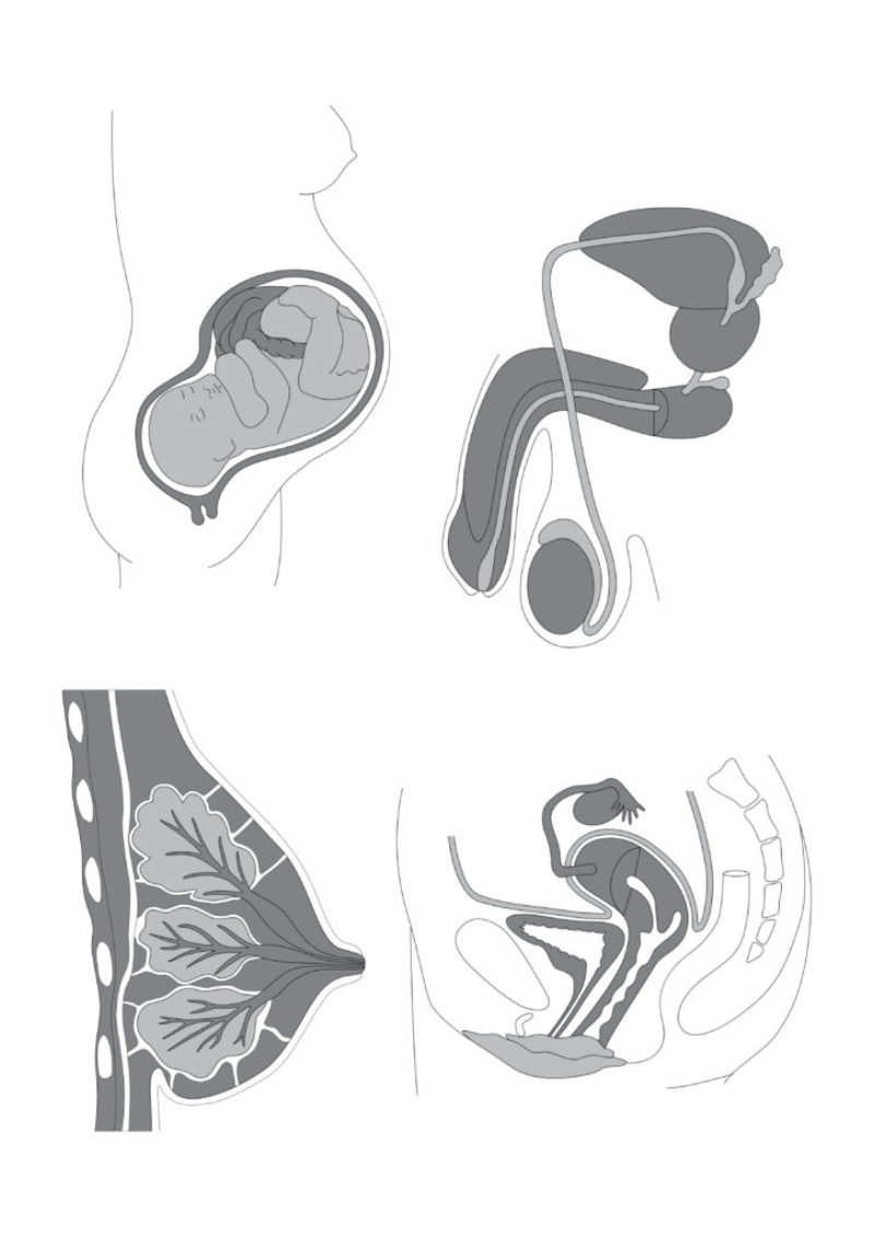 Otra forma de gestar hijos es posible