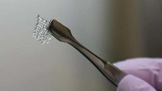 Ovarios impresos en 3D permiten tener descendencia a ratones sanos