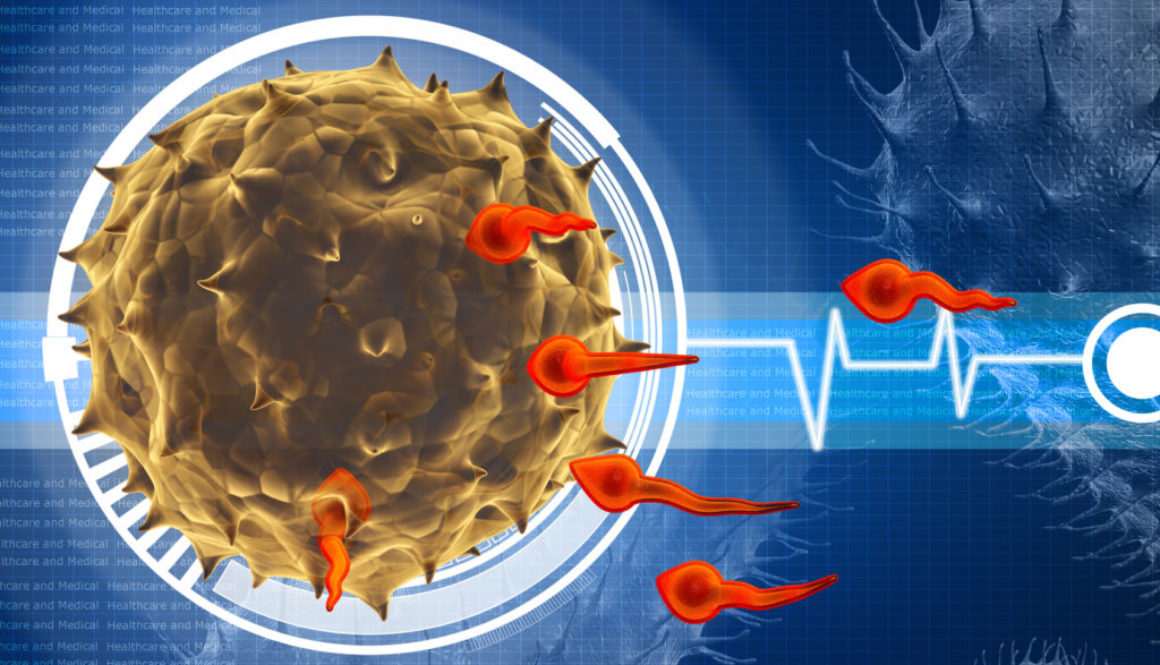 Phisiological ICSI - PICSI