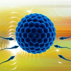 Polémica por los tratamientos de fertilidad con tres padres