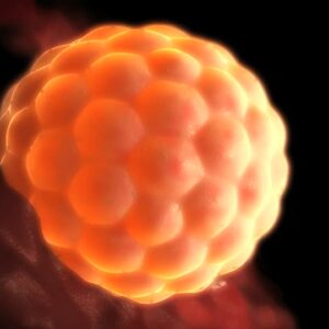 Preguntas Frecuentes sobre inducción a la ovulación y relaciones programadas