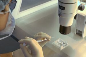 Preguntas frecuentes sobre fertilidad y reproducción asistida (X)