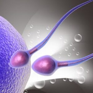 Qué alimentos consumir para mejorar la fertilidad femenina.