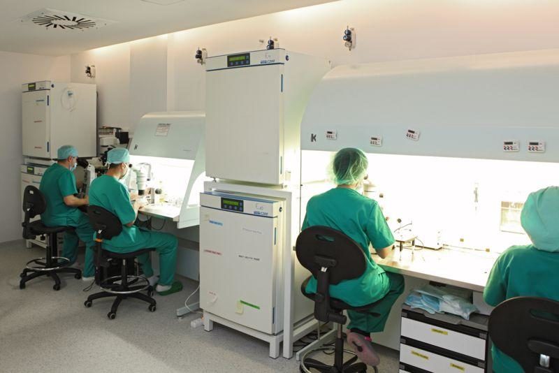 Quédate Embarazada’