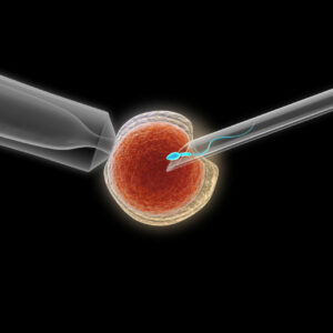 Rechazan relamación de 18.500€ por suspender tratamiento de fertilidad