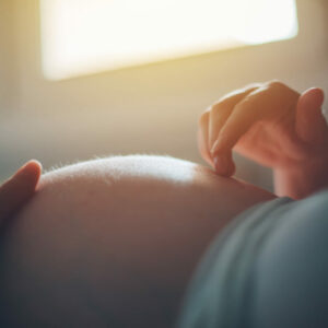 SISTEMA TIME-LAPSE PARA LA REPRODUCCIÓN ASISTIDA