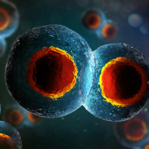 Sanidad abre una investigación por la muerte de embriones en el Hospital Clínico de Valencia