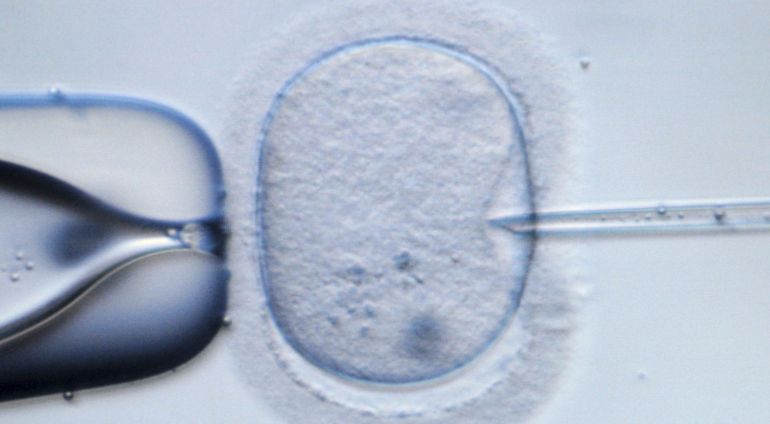 Se cumplen 30 años del nacimiento del primer bebé español procedente de un embrión congelado