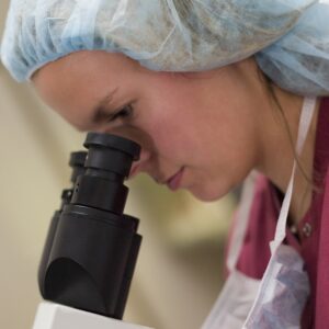 Se demuestra que tras la muerte de los individuos, las células madre mantienen su potencial