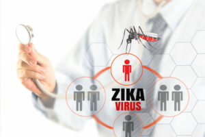 Segun un estudio el virus del Zika baja la testosterona y afecta los testículos