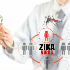 Segun un estudio el virus del Zika baja la testosterona y afecta los testículos