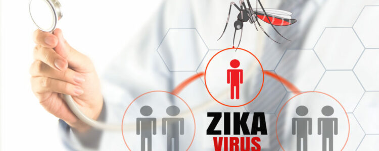 Segun un estudio el virus del Zika baja la testosterona y afecta los testículos