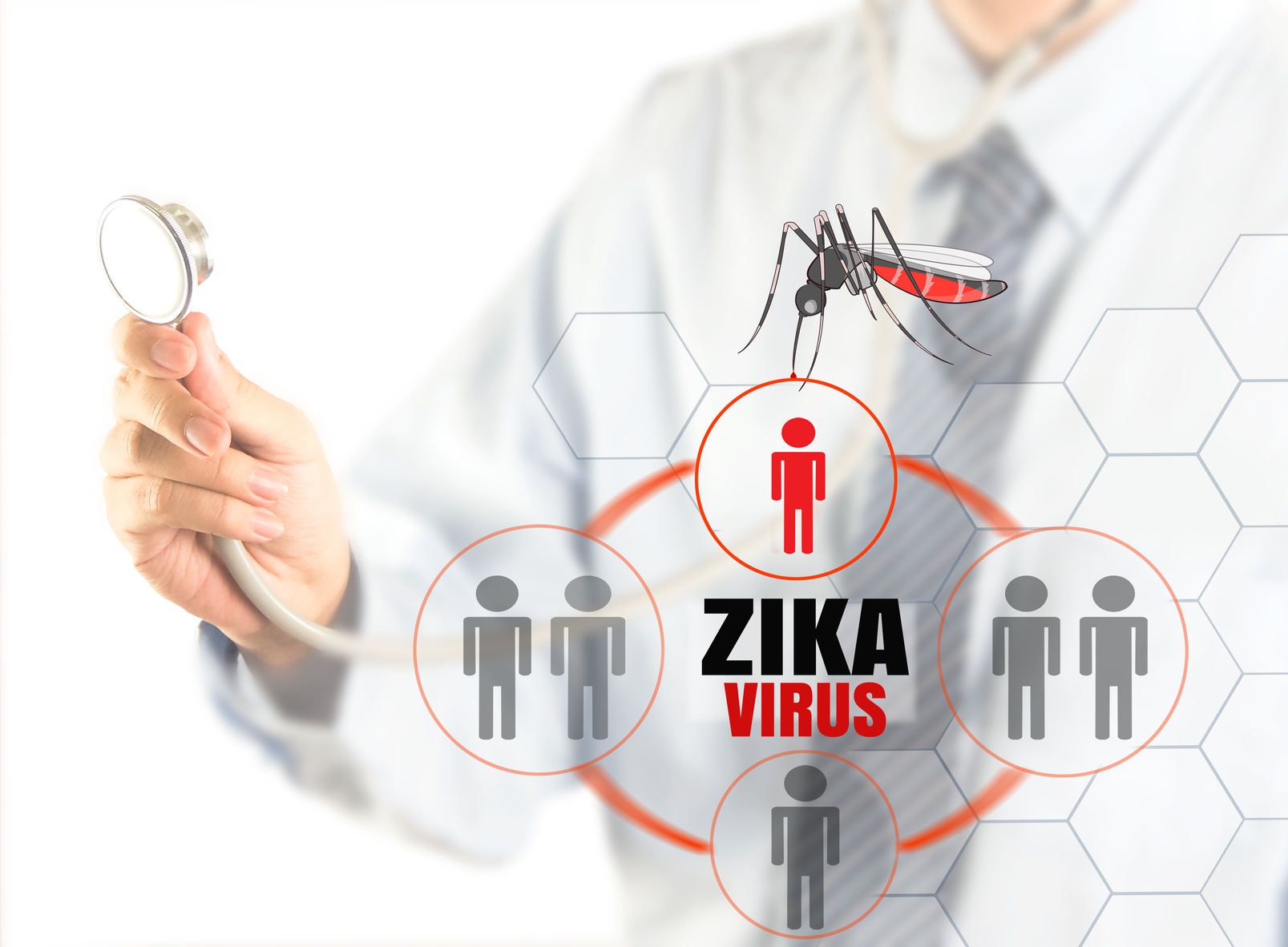 Segun un estudio el virus del Zika baja la testosterona y afecta los testículos