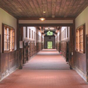 Su fertilidad a cambio de 30 días de libertad