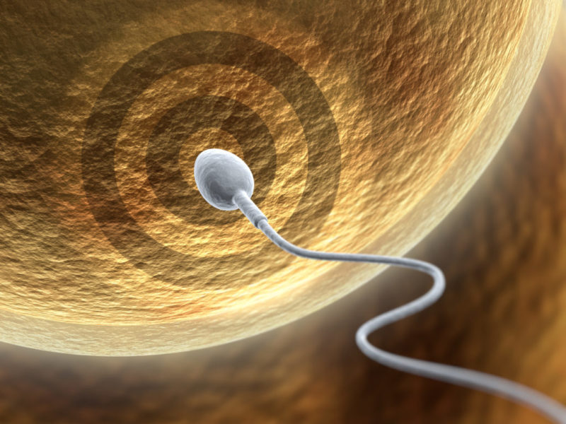 Super Espermatozoide Bros