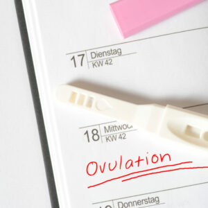 Técnicas de reproducción asistida: factores del éxito del embarazo