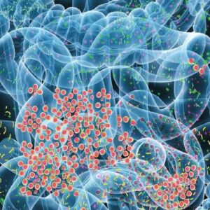 Todo lo que puede hacer la microbiota por tu fertilidad