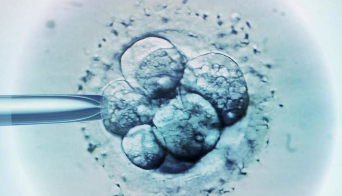 Transferir un embrión tiene prácticamente las mismas posibilidades de embarazo que implantar dos