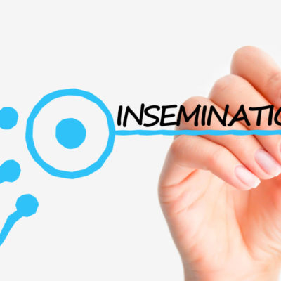 Tratamiento de inseminación artificial: ¿En qué consiste?