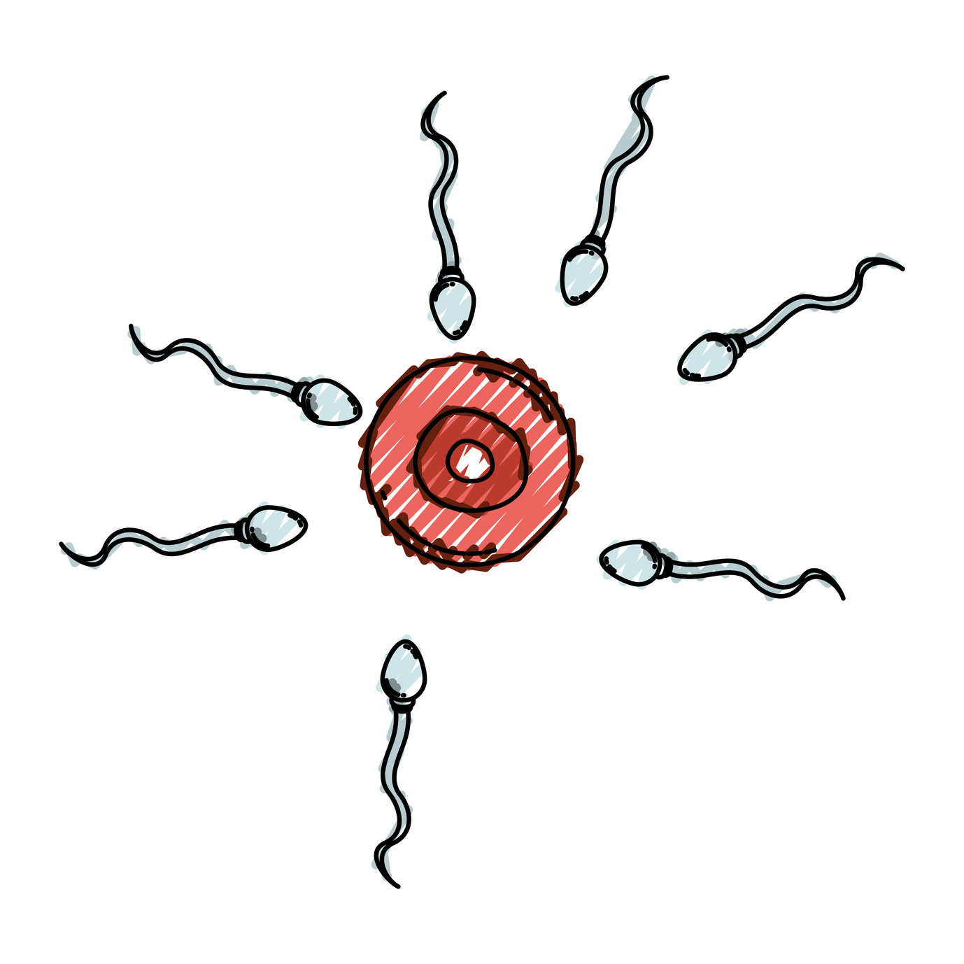 Un análisis del ADN, liberado en sangre y semen, permitirá determinar anomalías en los espermatozoides