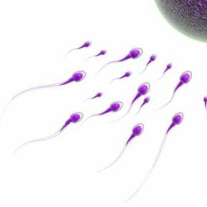 Un estudio de la UMU desvela la mala calidad del semen de los jóvenes del Levante