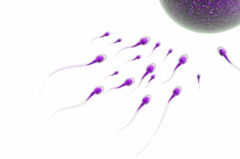 Un estudio de la UMU desvela la mala calidad del semen de los jóvenes del Levante