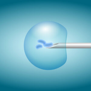 Un estudio demuestra que utilizar un solo embrión en la » fecundación in vitro » no reduce la tasa de emabarazos