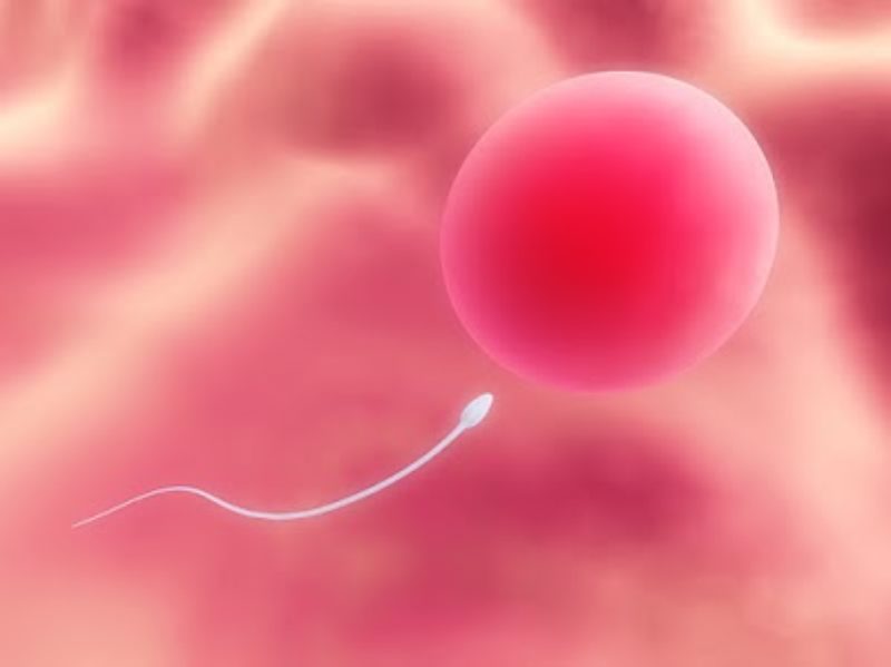 Un estudio revela que las mujeres reciben menos datos sobre fertilidad post-cáncer que los hombres