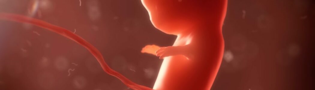 Un gen protege al feto de la diabetes de la madre