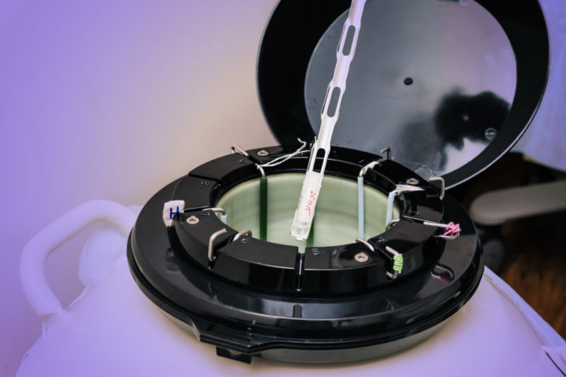 Un juez permite a una mujer quedar embarazada 'in vitro' con esperma de su marido muerto