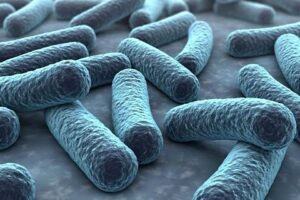 Un tratamiento con lactobacilos podría mejorar el éxito de embarazo en parejas con abortos de repetición