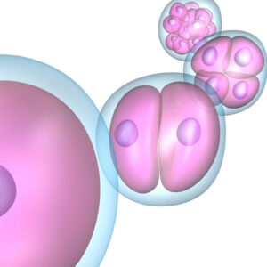 Una avería destruye en Italia cerca de un centenar de embriones Una avería destruye en Italia cerca de un centenar de embriones