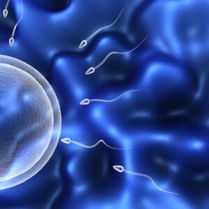 Una bióloga venezolana explora la vida en camino