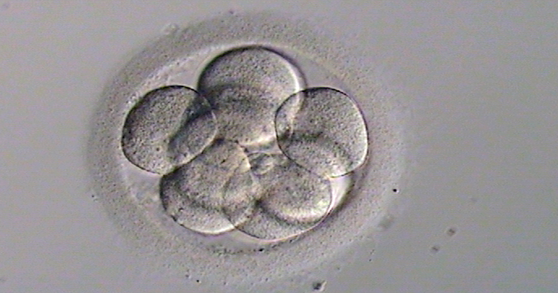 Una mujer china logra tener su segundo hijo gracias a un embrión congelado 16 años