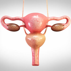 Una nueva técnica médica elimina miomas del útero en consulta y sin anestesia