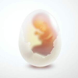 Una pareja de 60 años de edad han ganado la batalla judicial por utilizar el semen de su hijo fallecido para poder tener un nieto