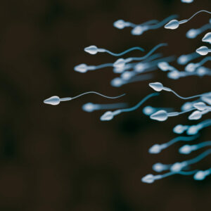 Urólogos y sexólogos debaten en El Batel avances en andrología