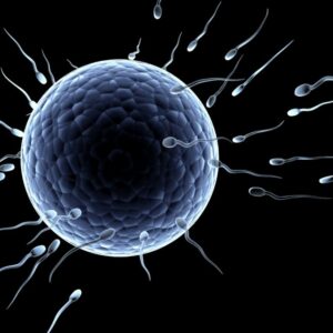 Usan el esperma de un hombre donado hace 40 años y nacen mellizas