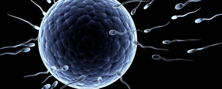 Usan el esperma de un hombre donado hace 40 años y nacen mellizas